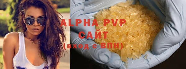сатива Дмитров