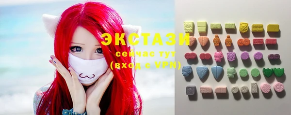 ECSTASY Елизово