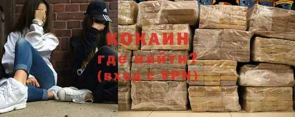 ALPHA PVP Ельня