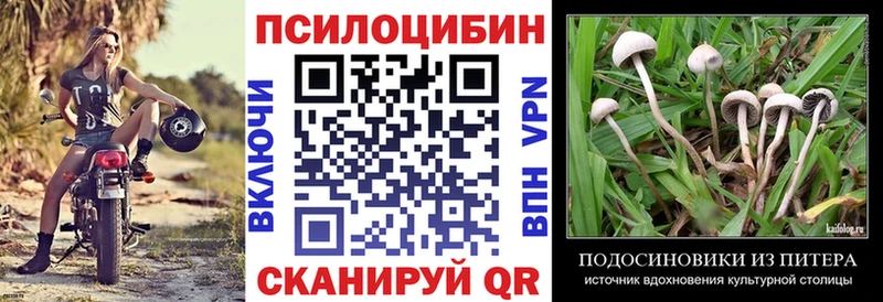 Псилоцибиновые грибы Psilocybe  Купить  Бирск 