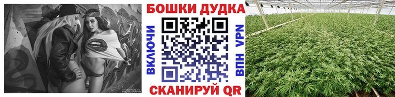 Бошки Шишки VHQ Купить Бирск